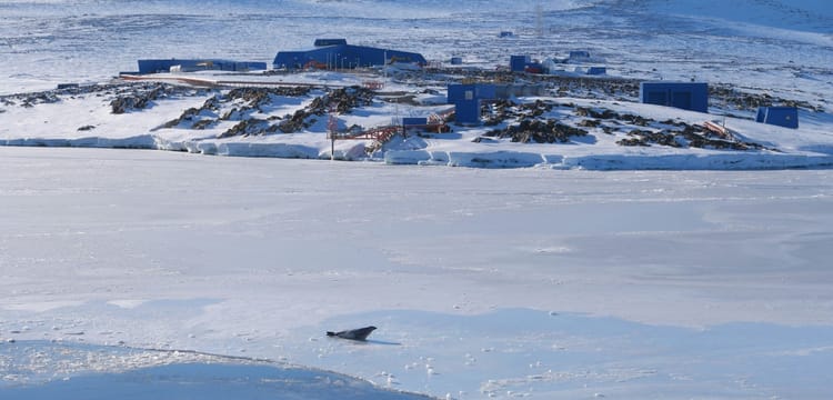 TNFD × 大自然是你最大的供應商，但從來不開發票